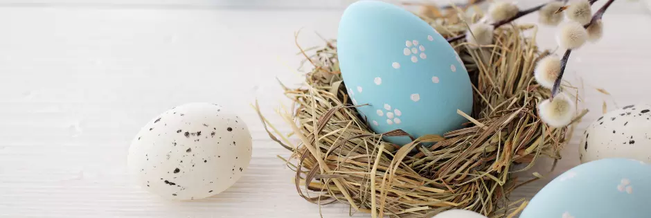 aktion_ostern_m.webp